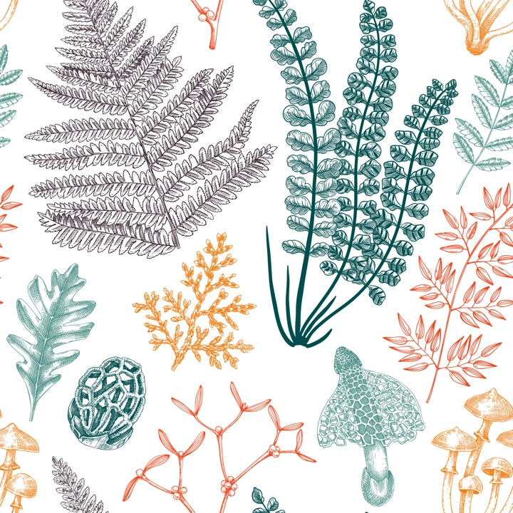 Vector seamless pattern with fern leaf, mushrooms, fall leaves and autumn plant sketches. Monochrome botanical repeating texture. Hand drawn autumn forest background. Vintage nature design for print